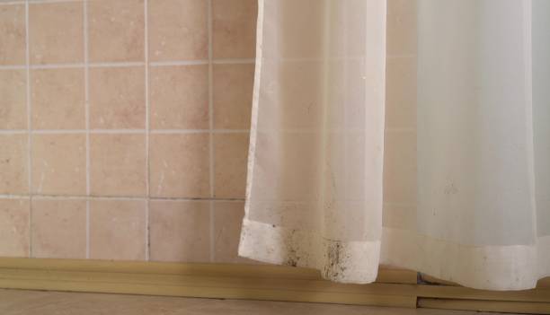 Best Water Damage & Mold Remediation  in Whitesboro, NJ