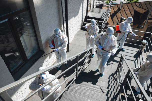 Reliable Whitesboro, NJ Mold Removal Solutions