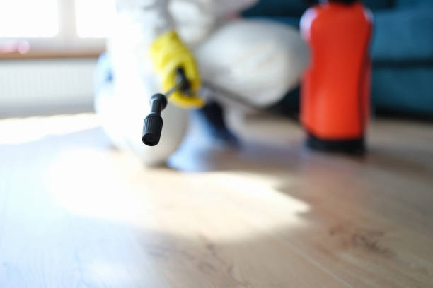 Best Airborne Mold Testing  in Whitesboro, NJ