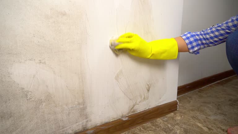 Best Post-Remediation Verification Testing  in Whitesboro, NJ