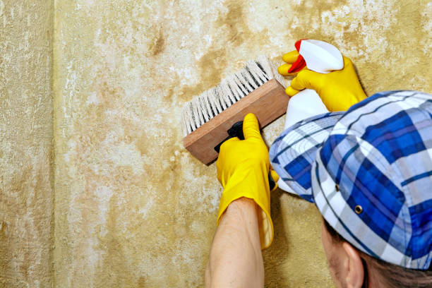 Best Forensic Mold Investigation  in Whitesboro, NJ