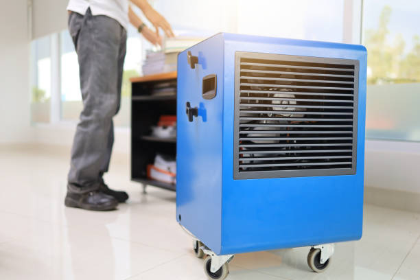 Best HVAC Mold Inspection and Cleaning  in Whitesboro, NJ