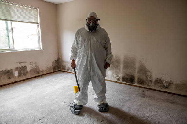 Best Residential Mold Inspection & Testing  in Whitesboro, NJ